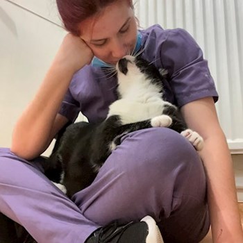 thumbnail petsitter București sau bonă pentru animale pentru câini pisici