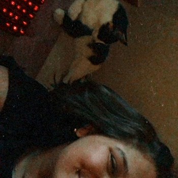 thumbnail petsitter Iași sau bonă pentru animale pentru câini pisici