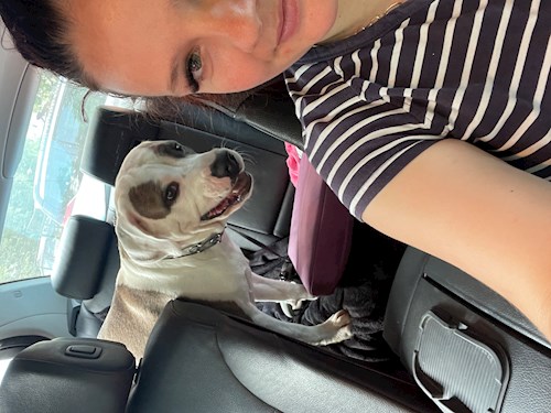 Dana- petsitter București sau Bonă pentru animale pentru câini pisici