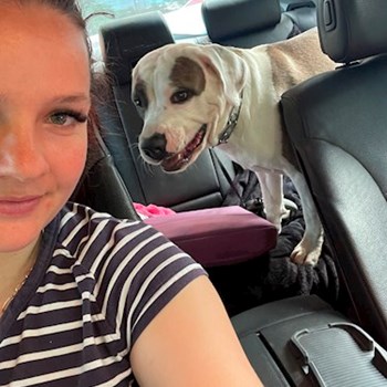 thumbnail petsitter București sau bonă pentru animale pentru câini pisici