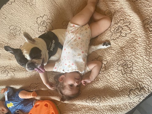 Dana- petsitter București sau Bonă pentru animale pentru câini pisici