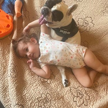 thumbnail petsitter București sau bonă pentru animale pentru câini pisici