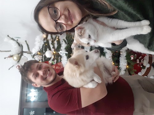 Gaita- petsitter București sau Bonă pentru animale pentru câini pisici