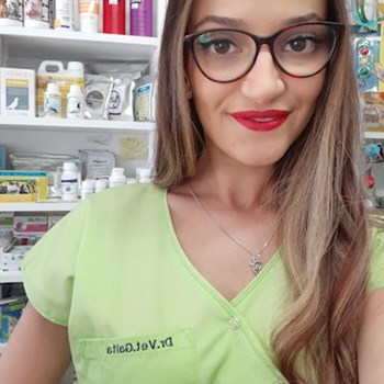 thumbnail petsitter București sau bonă pentru animale pentru câini pisici