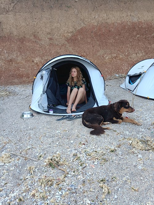 Daria- petsitter București sau Bonă pentru animale pentru câini pisici