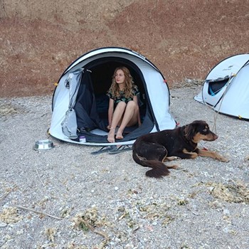 thumbnail petsitter București sau bonă pentru animale pentru câini pisici