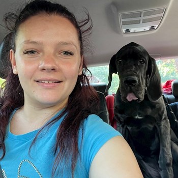 thumbnail petsitter București sau bonă pentru animale pentru câini pisici