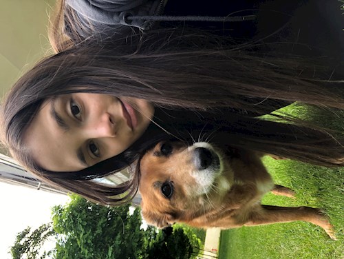 Valeria- petsitter București sau Bonă pentru animale pentru câini pisici