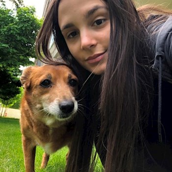 thumbnail petsitter București sau bonă pentru animale pentru câini pisici