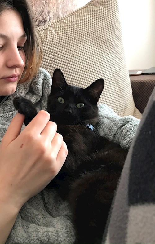 Mădălina- petsitter București sau Bonă pentru animale pentru câini pisici