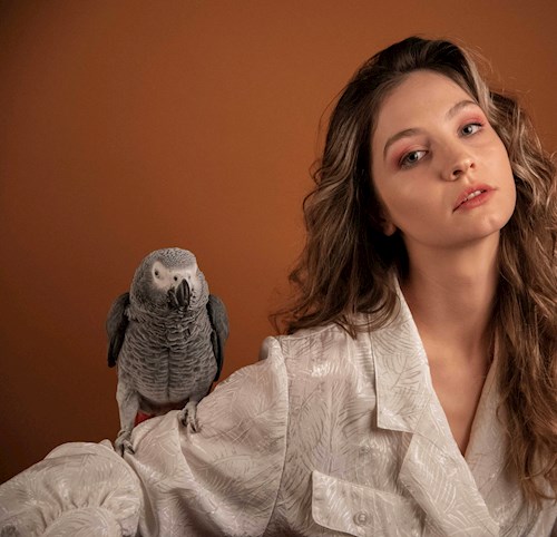 Mădălina- petsitter București sau Bonă pentru animale pentru câini pisici