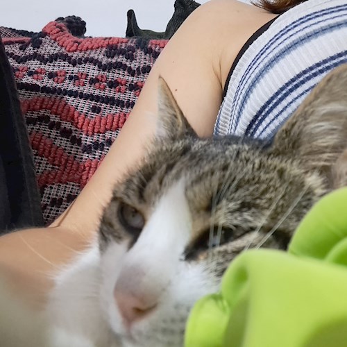 Roberta-Andreea- petsitter Câmpina sau Bonă pentru animale pentru câini pisici