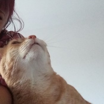 thumbnail petsitter București sau bonă pentru animale pentru câini pisici