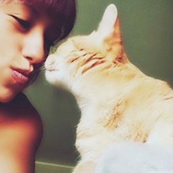 thumbnail petsitter București sau bonă pentru animale pentru câini pisici