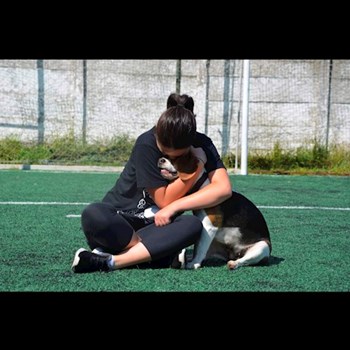  thumbnail petsitter Cluj-Napoca sau bonă pentru animale pentru câini pisici 