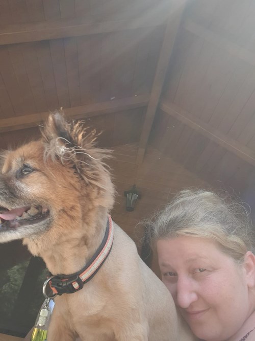 Draghici- petsitter București or Pet nanny for dogs cats