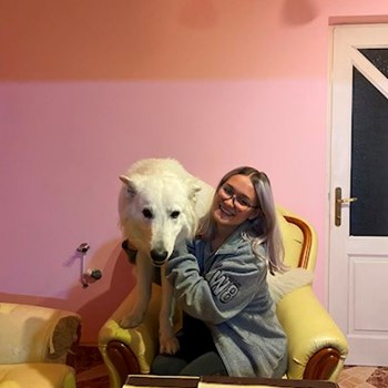 thumbnail petsitter Florești sau bonă pentru animale pentru câini pisici