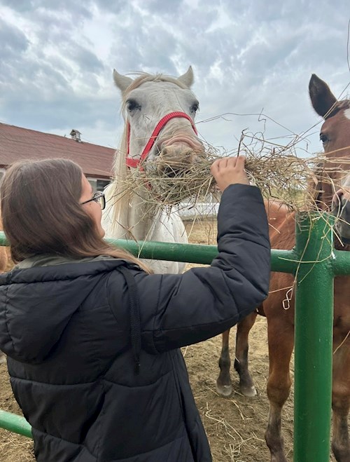 Cristina-Maria- petsitter Florești sau Bonă pentru animale pentru câini pisici