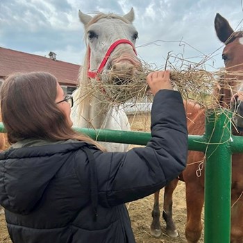 thumbnail petsitter Florești sau bonă pentru animale pentru câini pisici