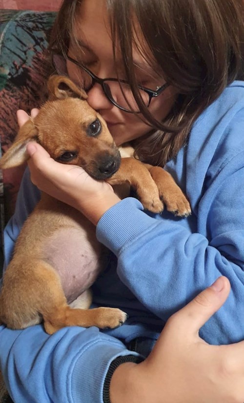 Cristina-Maria- petsitter Florești sau Bonă pentru animale pentru câini pisici