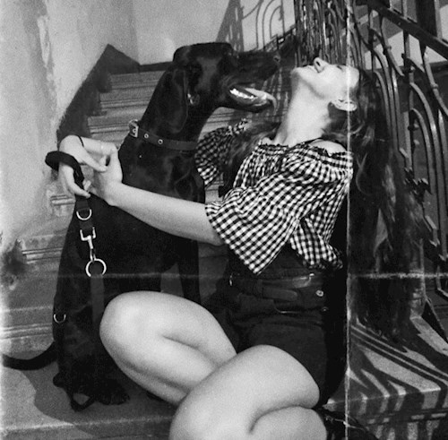 Chiriac- petsitter Timișoara sau Bonă pentru animale pentru câini pisici 