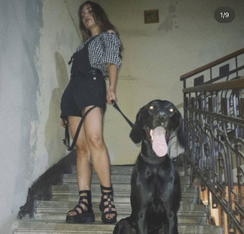 Chiriac- petsitter Timișoara sau Bonă pentru animale pentru câini pisici 