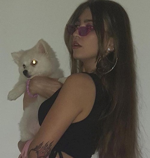 Chiriac- petsitter Timișoara sau Bonă pentru animale pentru câini pisici 