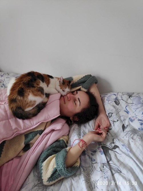 florentina- petsitter Iași or Pet nanny for dogs cats 
