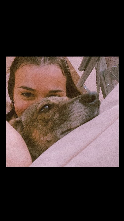 Ina- petsitter Cluj-Napoca sau Bonă pentru animale pentru câini pisici