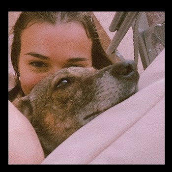 thumbnail petsitter Cluj-Napoca sau bonă pentru animale pentru câini pisici