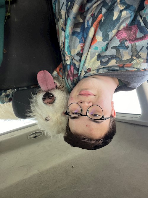 Vlad- petsitter Timișoara vagy Állat szitter a kutyák cicák