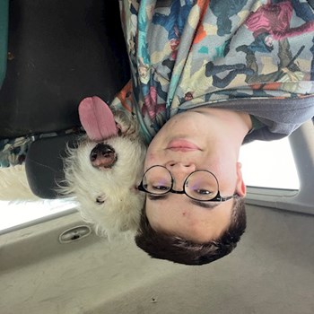 thumbnail petsitter Timișoara vagy Állat szitter a kutyák cicák