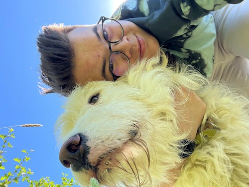 Vlad- petsitter Timișoara vagy Állat szitter a kutyák cicák