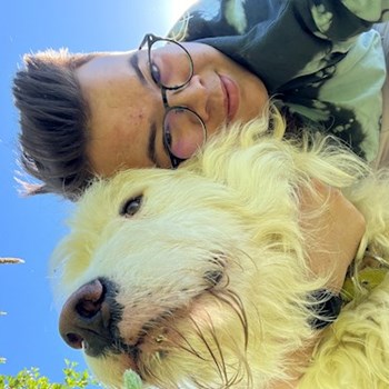 thumbnail petsitter Timișoara vagy Állat szitter a kutyák cicák