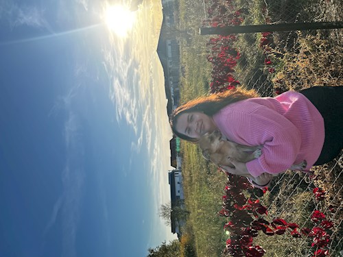 Vlad- petsitter Timișoara vagy Állat szitter a kutyák cicák