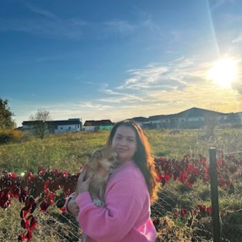 thumbnail petsitter Timișoara vagy Állat szitter a kutyák cicák