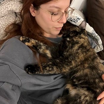 thumbnail petsitter București sau bonă pentru animale pentru pisici