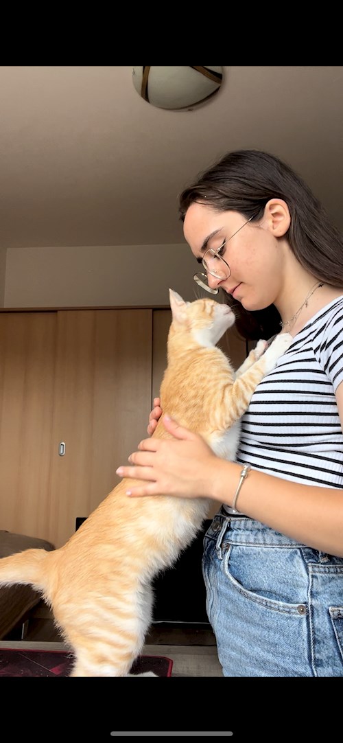 Sabrina- petsitter București or Pet nanny for dogs cats