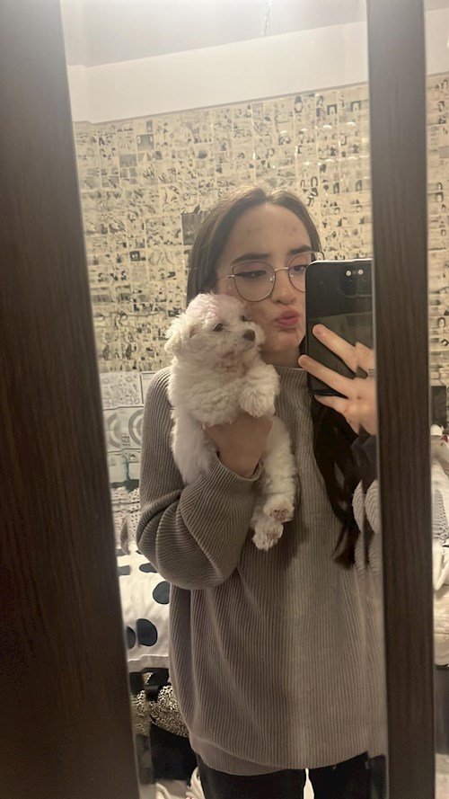 Sabrina- petsitter București or Pet nanny for dogs cats