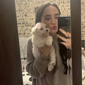 thumbnail petsitter București or pet nanny for dogs cats