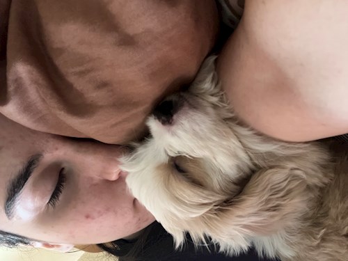 Sabrina- petsitter București or Pet nanny for dogs cats