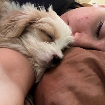 thumbnail petsitter București or pet nanny for dogs cats