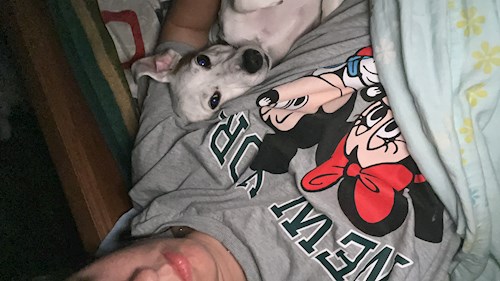 Sabrina- petsitter București or Pet nanny for dogs cats