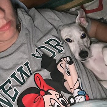 thumbnail petsitter București or pet nanny for dogs cats