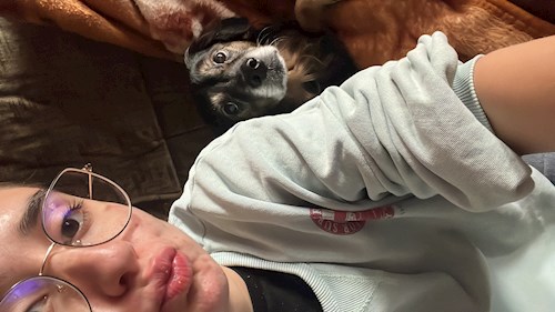 Sabrina- petsitter București or Pet nanny for dogs cats