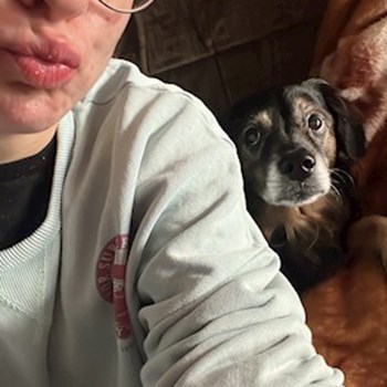 thumbnail petsitter București or pet nanny for dogs cats