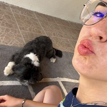 thumbnail petsitter București or pet nanny for dogs cats