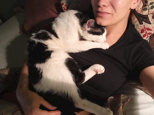 Ana-Maria- petsitter Cluj-Napoca or Pet nanny for dogs cats