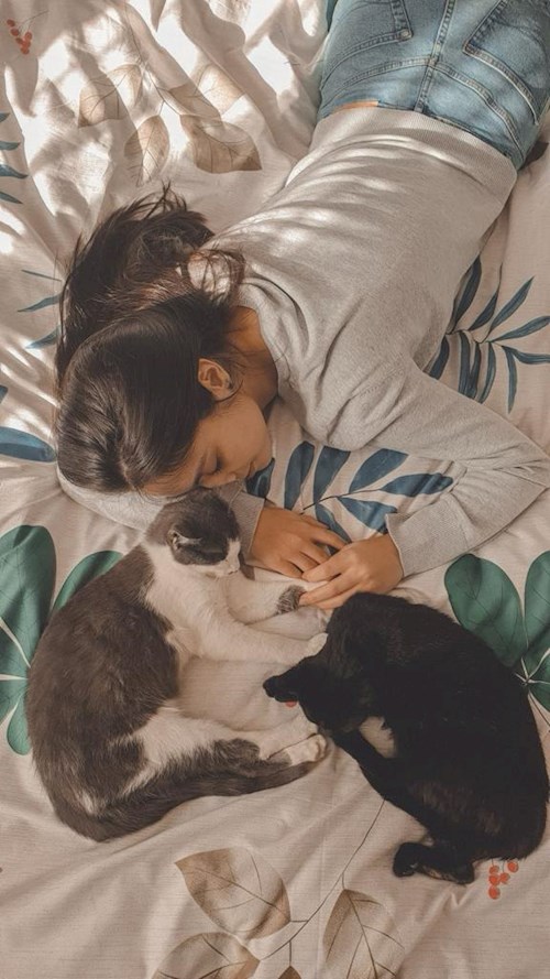 Malina- petsitter București sau Bonă pentru animale pentru