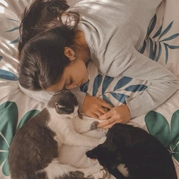 thumbnail petsitter București sau bonă pentru animale pentru